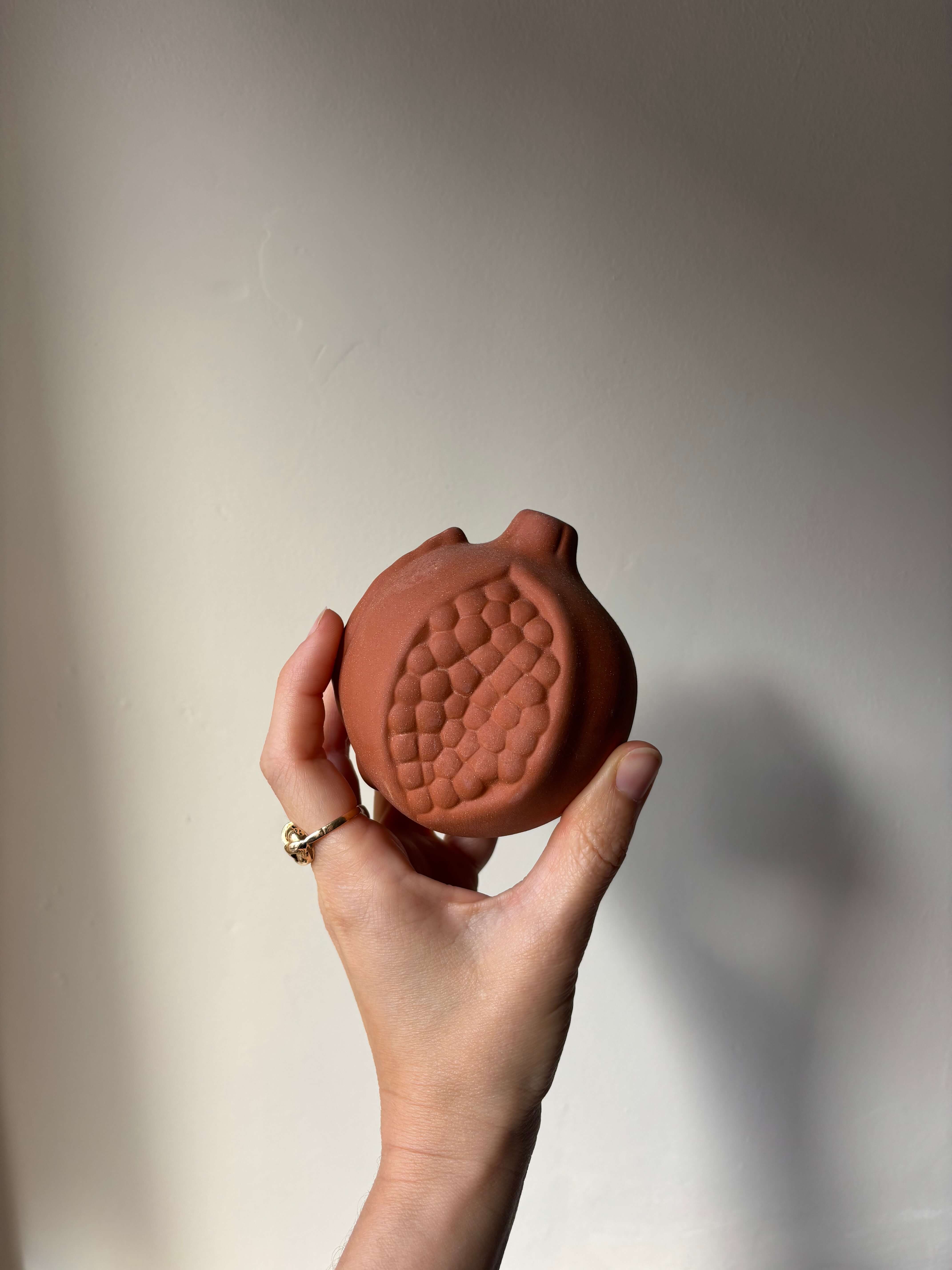 Descripción de la imagen