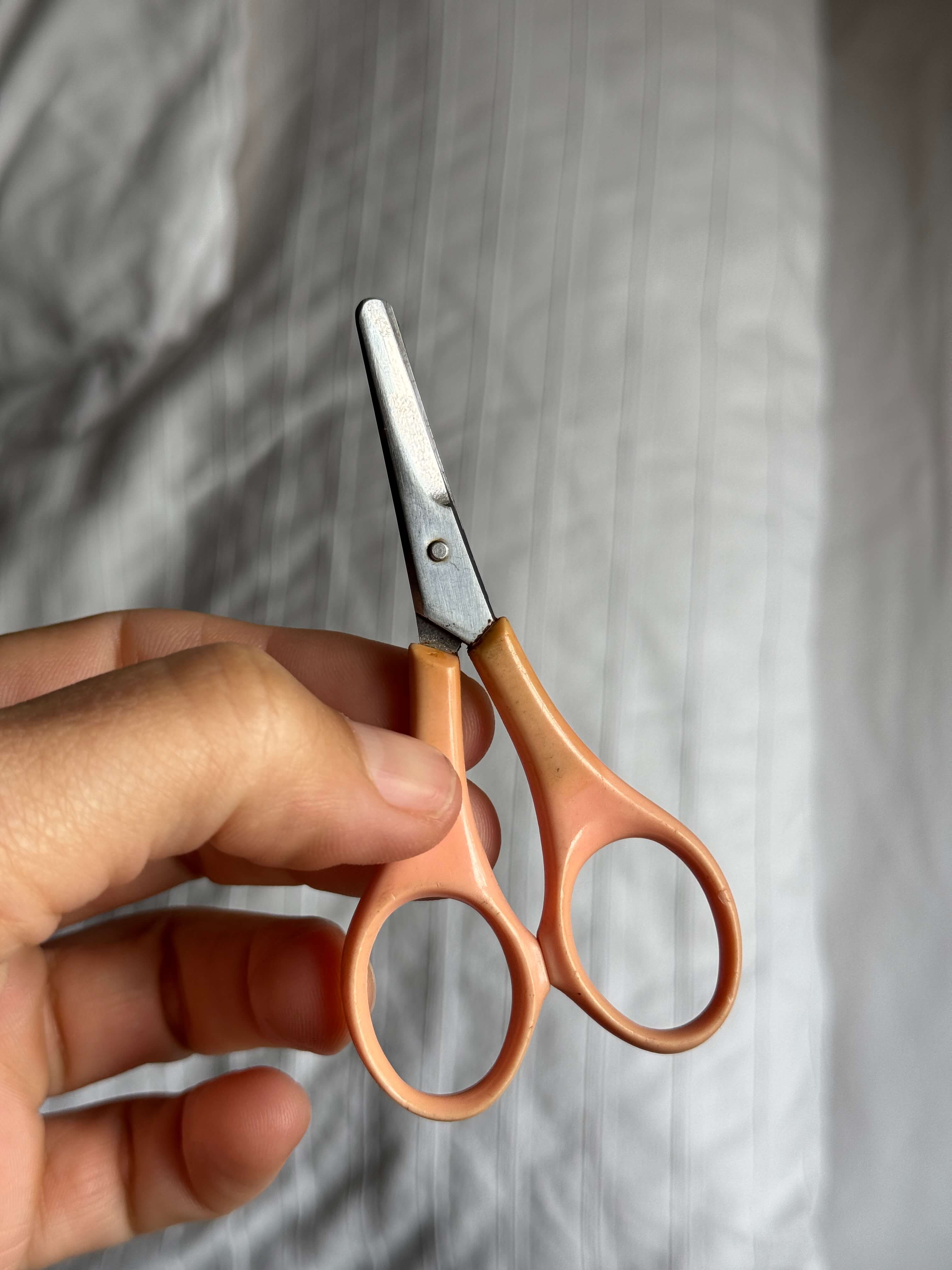 Descripción de la imagen