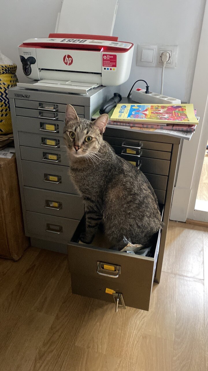 Descripción de la imagen