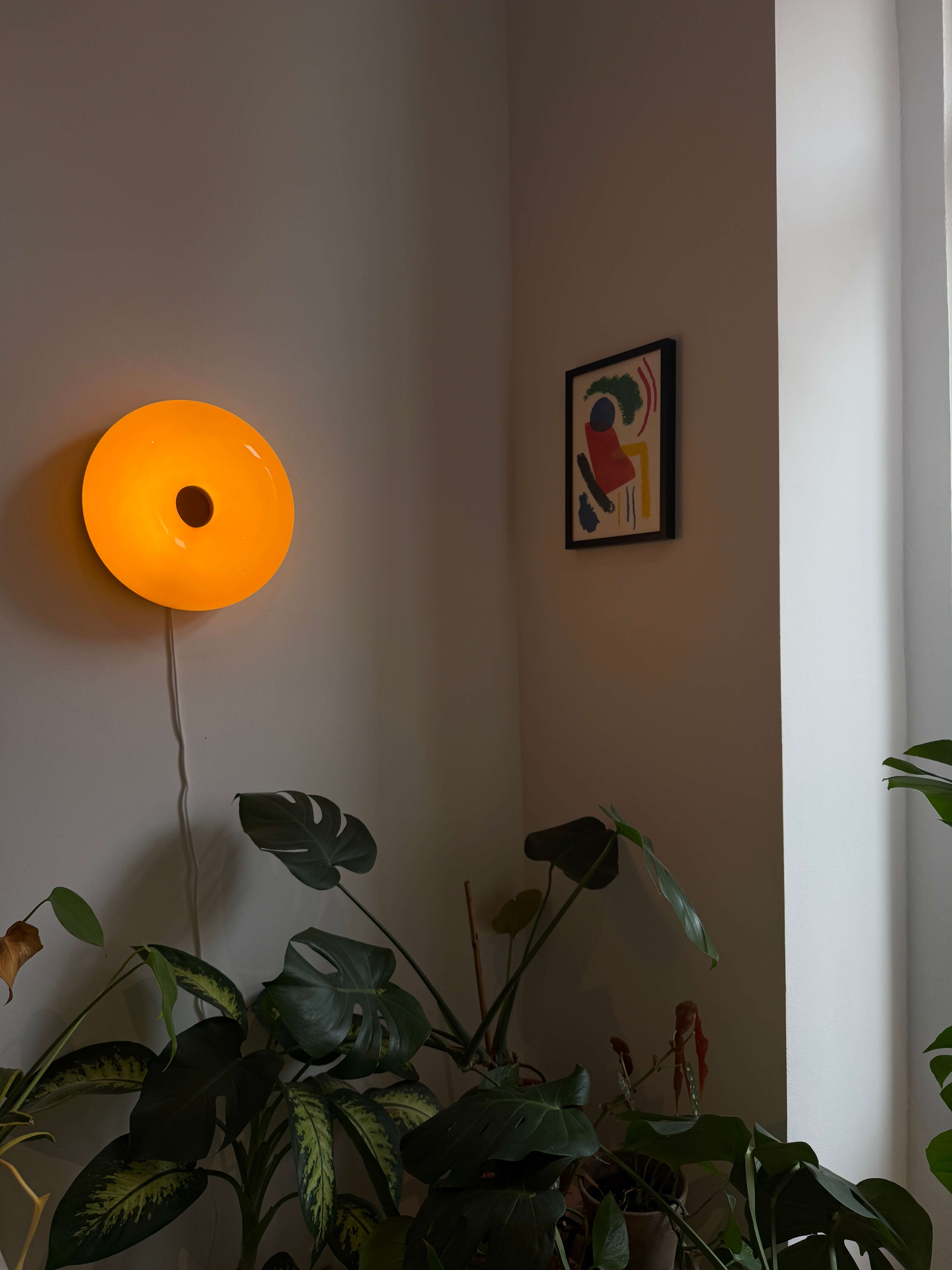 Descripción de la imagen